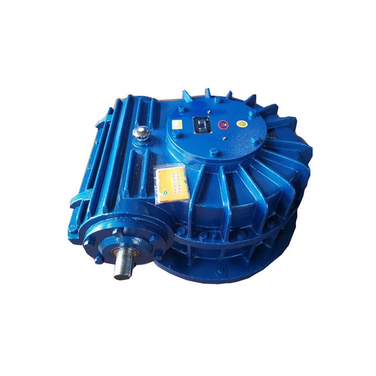 CWS Series Worm Gear Reducer